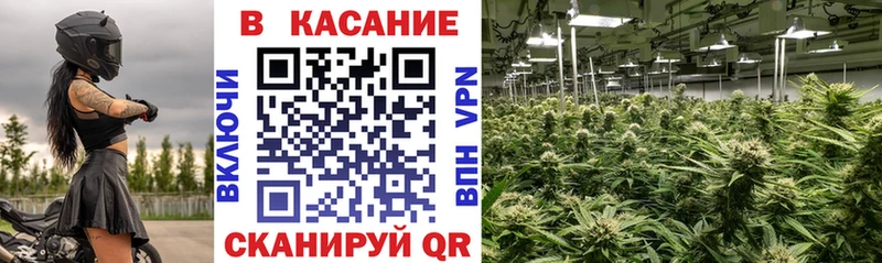 Наркотические вещества Шимановск АМФ  мега tor  Канабис  Гашиш 