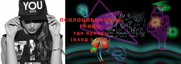 молекула духа Абинск