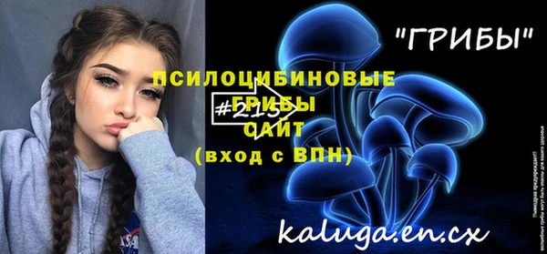 молекула духа Абинск
